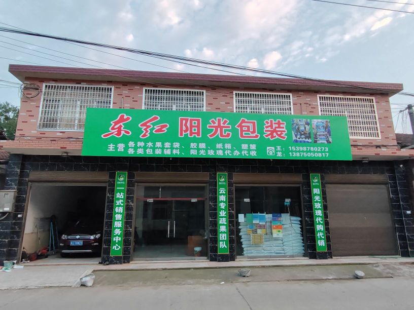 东黄杨光包装