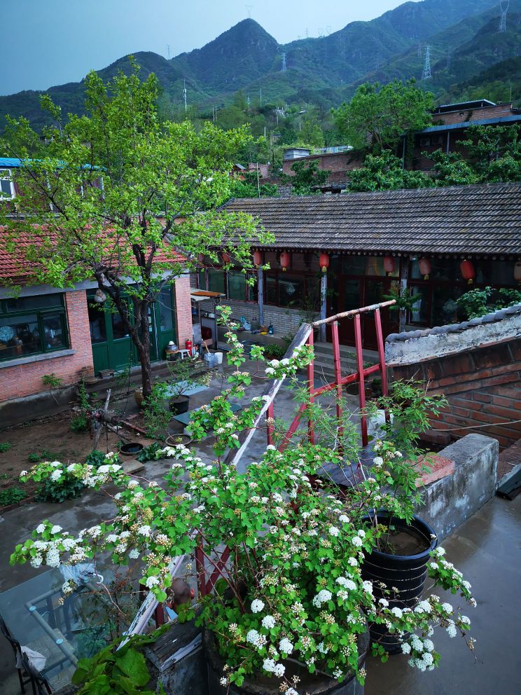 金山禅院