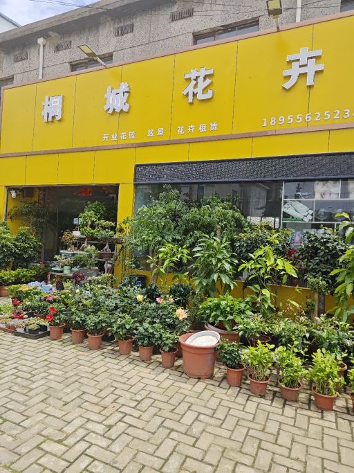 桐城家卉