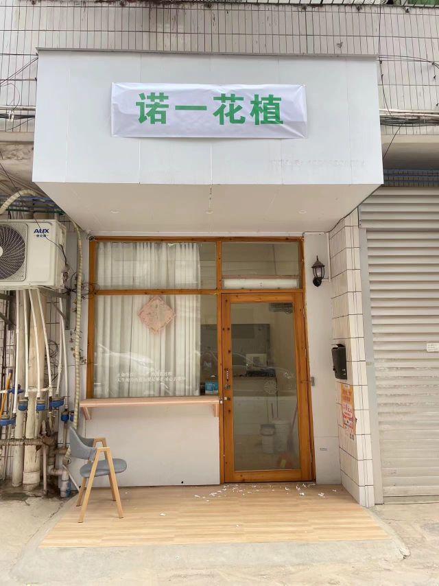诺一花植