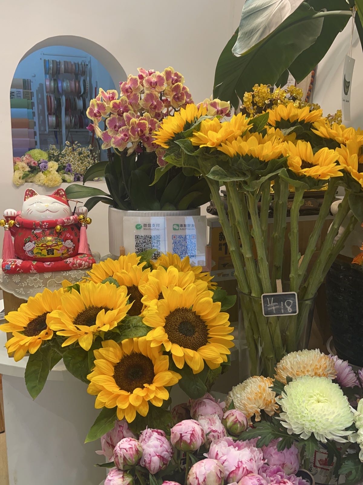 朱迪的花店(华佳商贸城店)