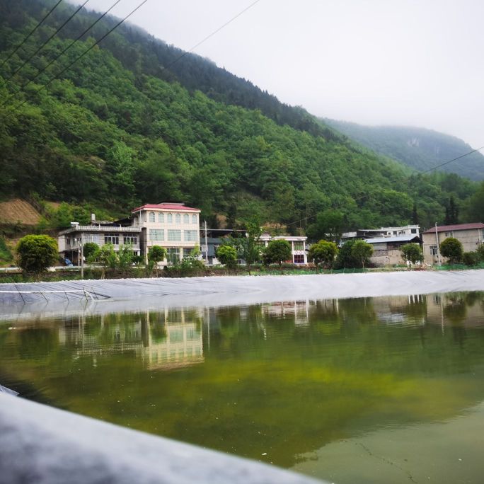 欣田生态垂钓园