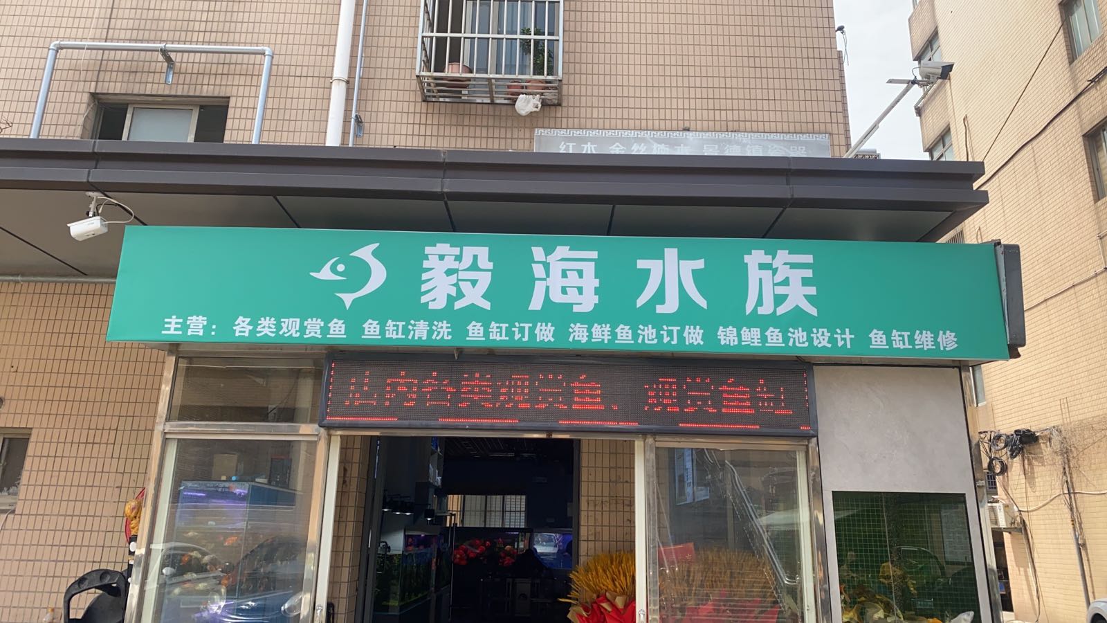 海毅稿耄驻水族