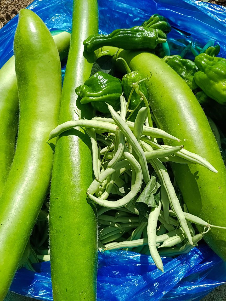 芳草园土菜馆