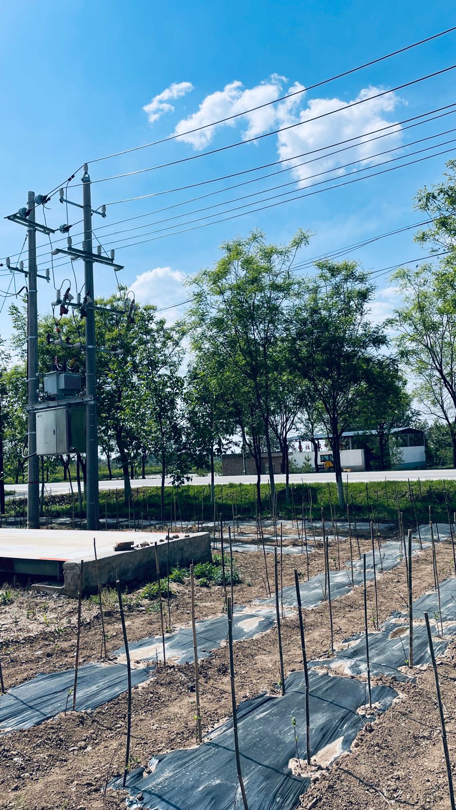 庆阳市亚军旺达养殖有限公司
