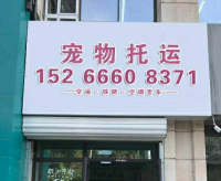 京宠宠物托运