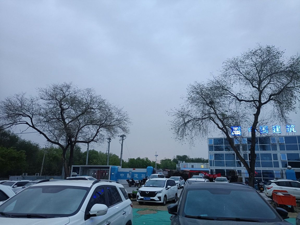 五棵树