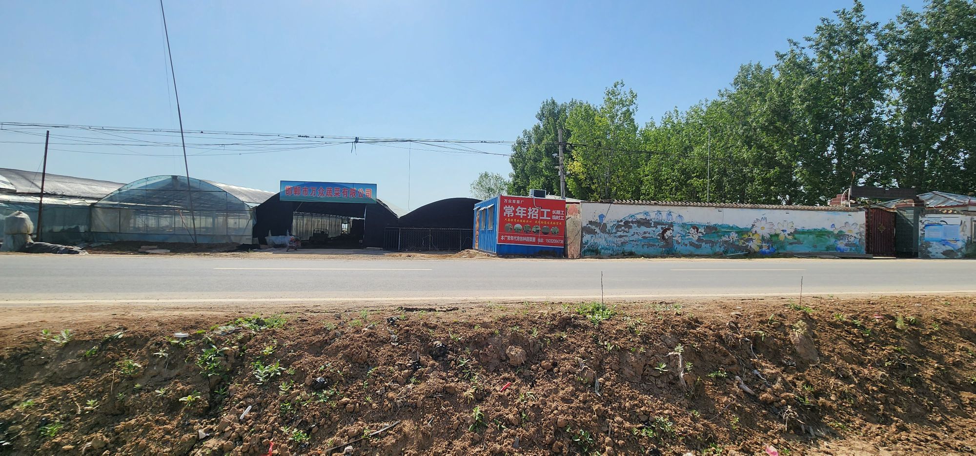 邯郸市万众蔬菜有限公司