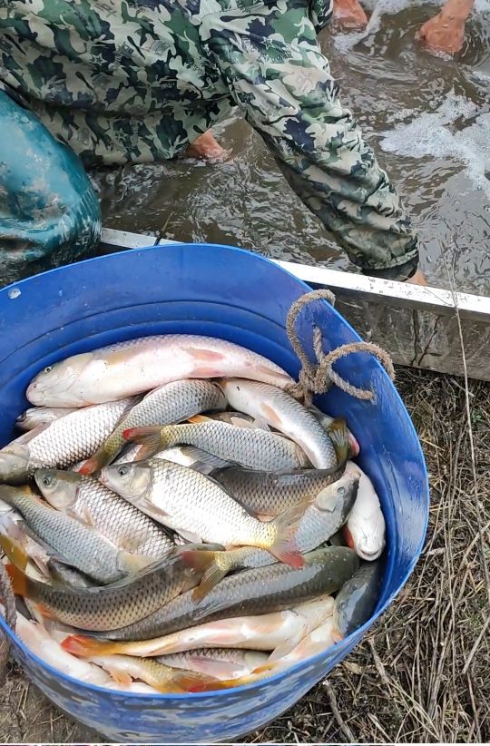 黑桃湾垂钓场