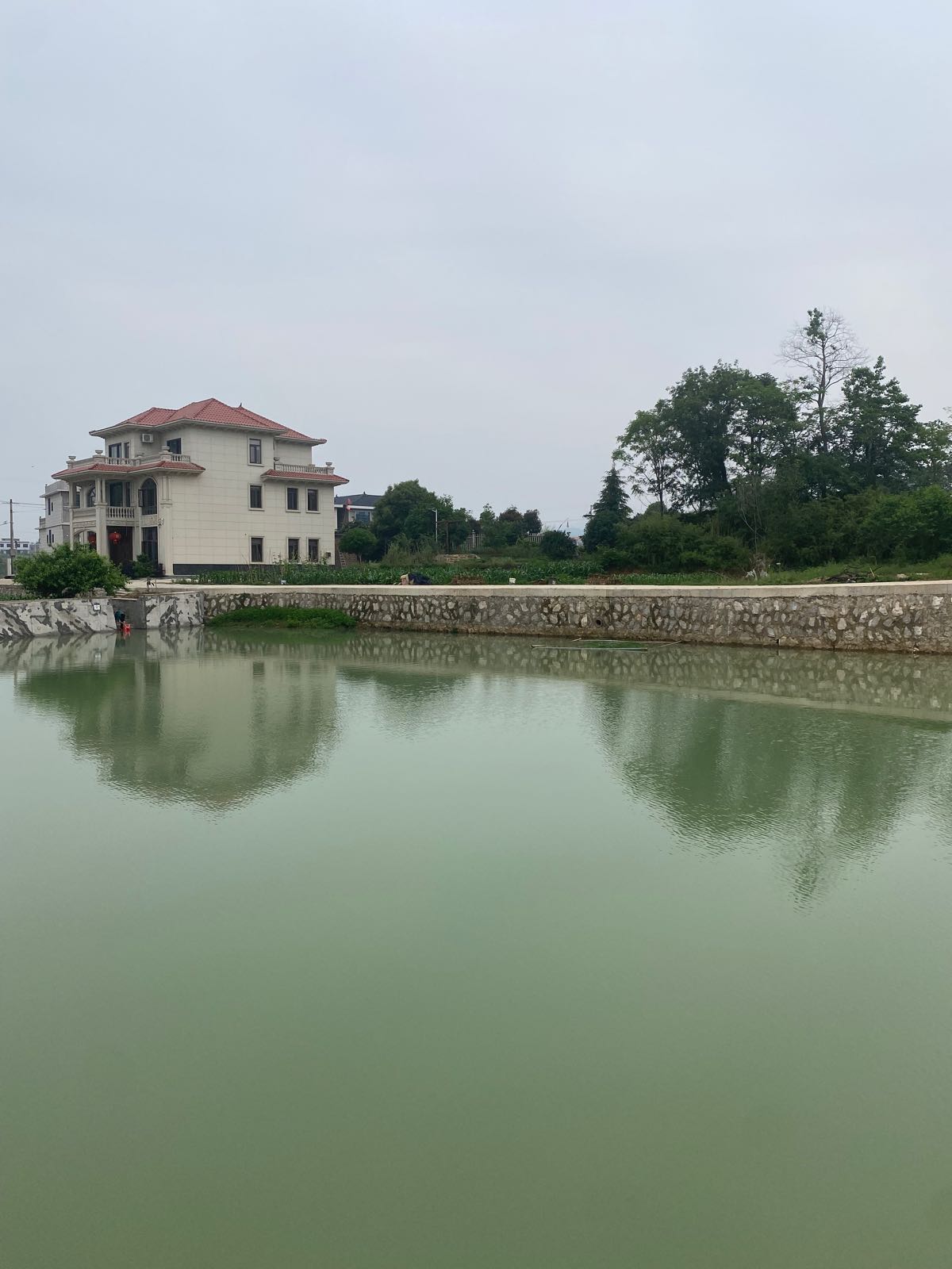 黑泥塘