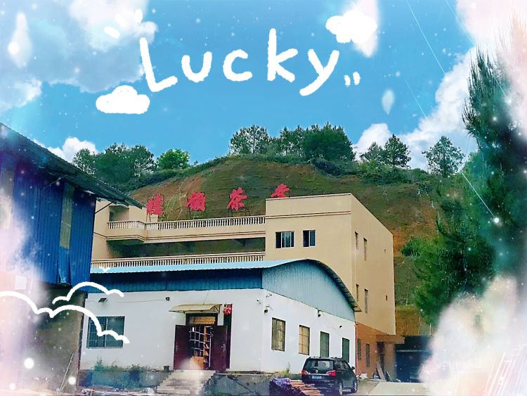 广西梧州市桂韵茶业有限公司