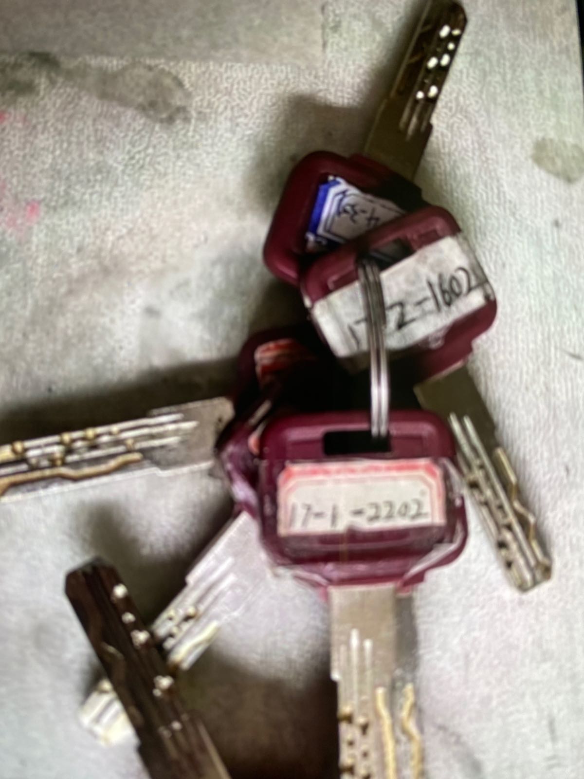 智慧擦鞋修鞋配钥匙(世纪花园店)