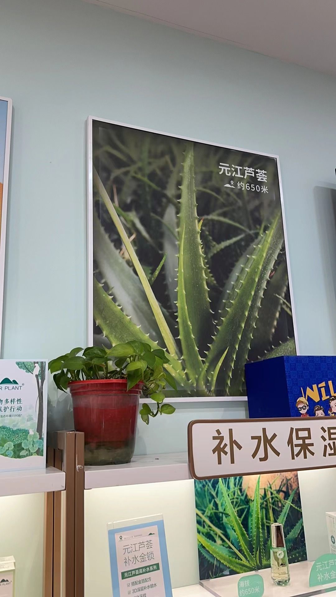 植物医生(汝河路店)