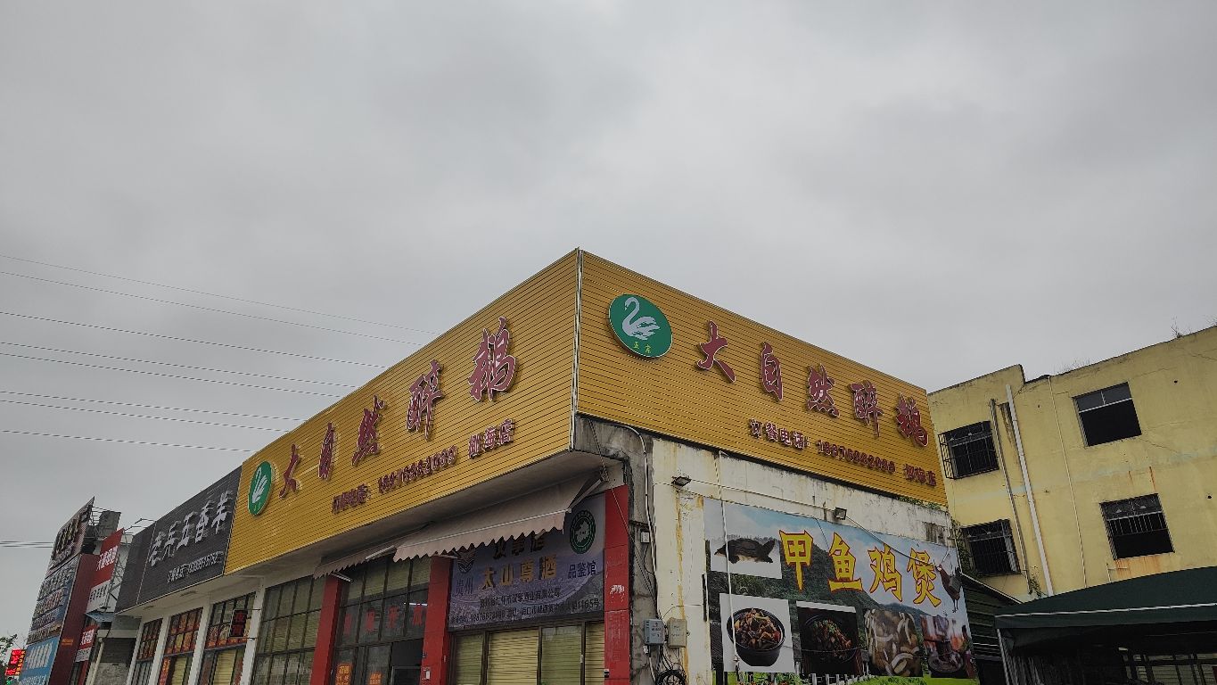 大自然醉鹅(椰海店)