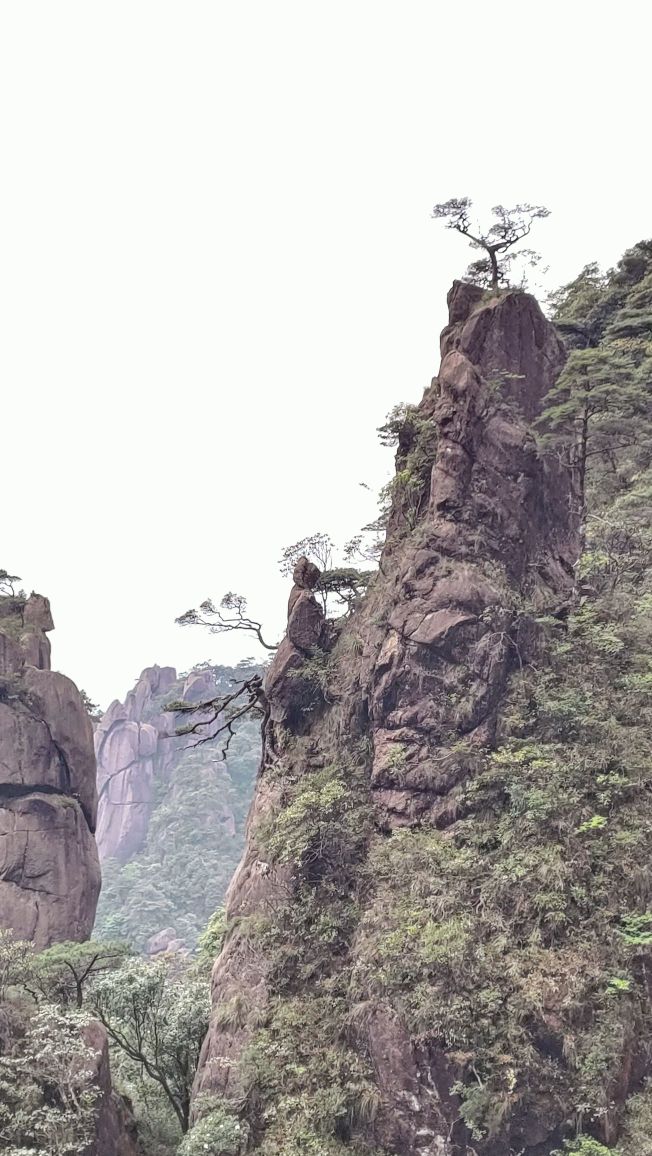 三青山上-神童负松