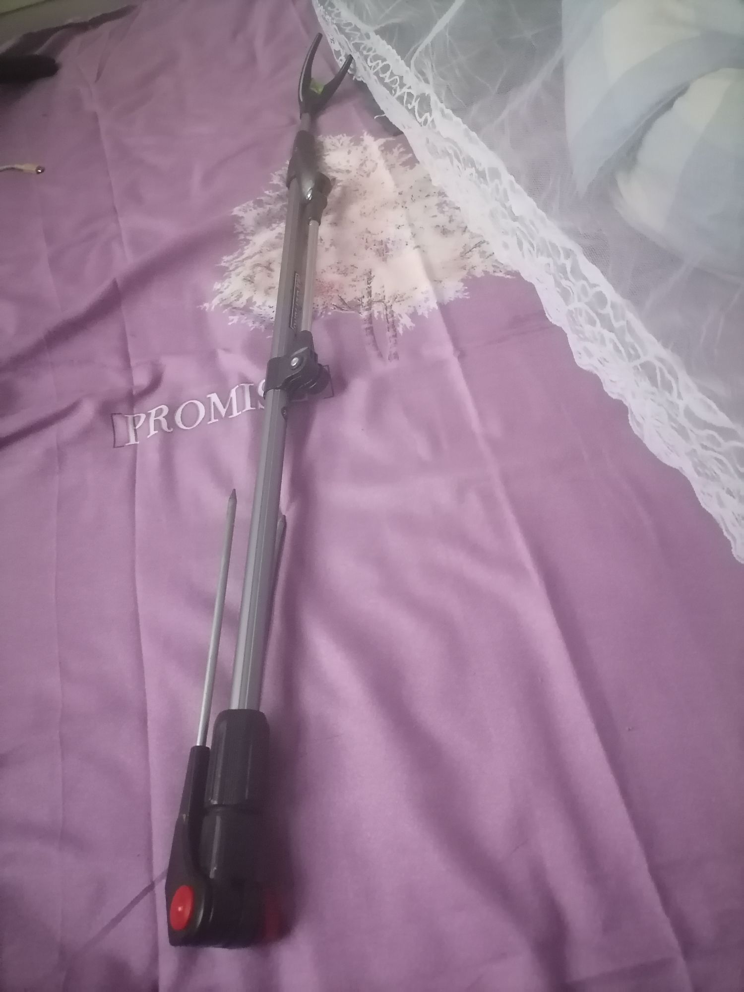 盆有鱼具