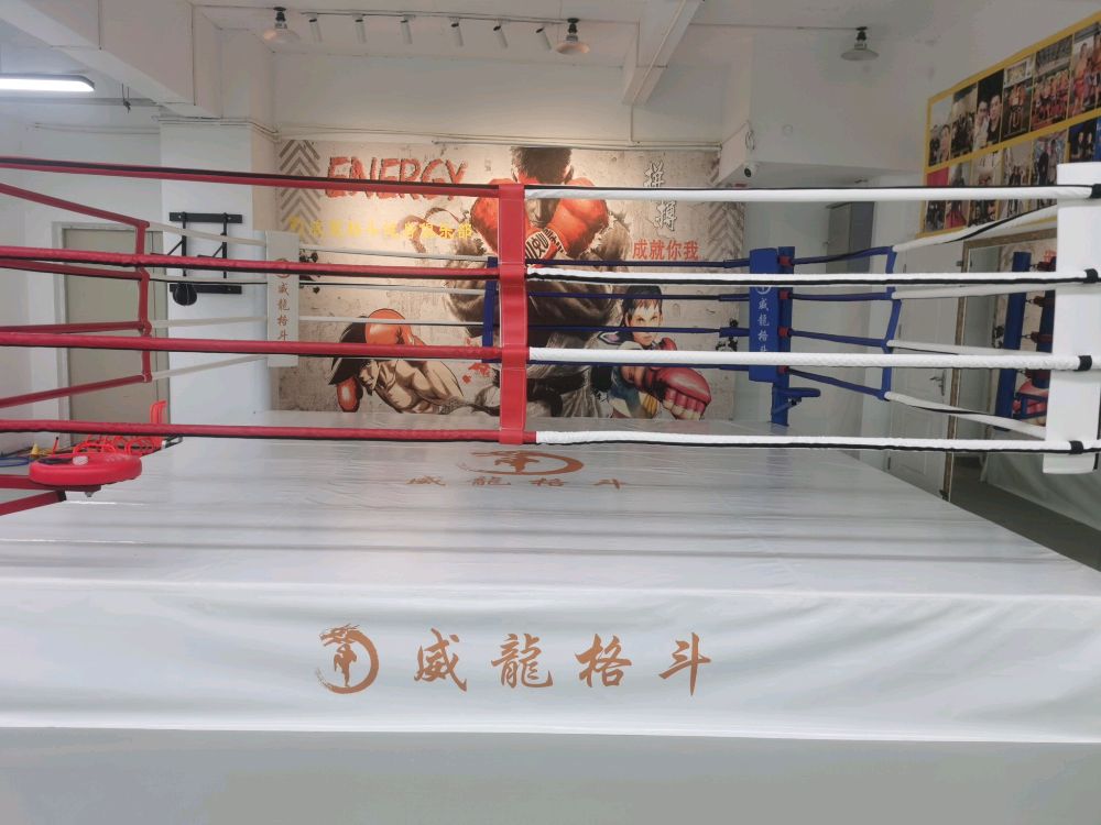威龙格斗运动馆
