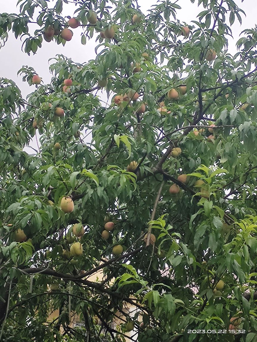 灶台.别院土菜研究馆(东乡旗舰店)