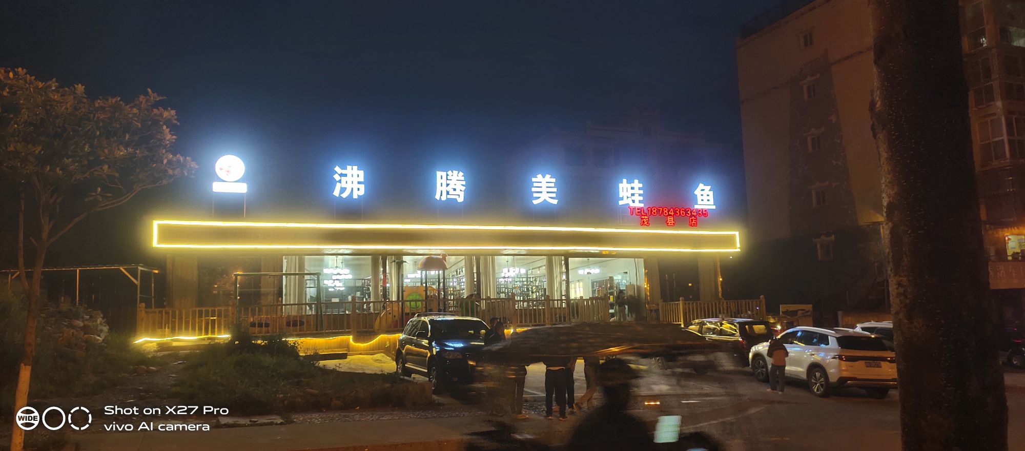 王记肺疼美蛙鱼