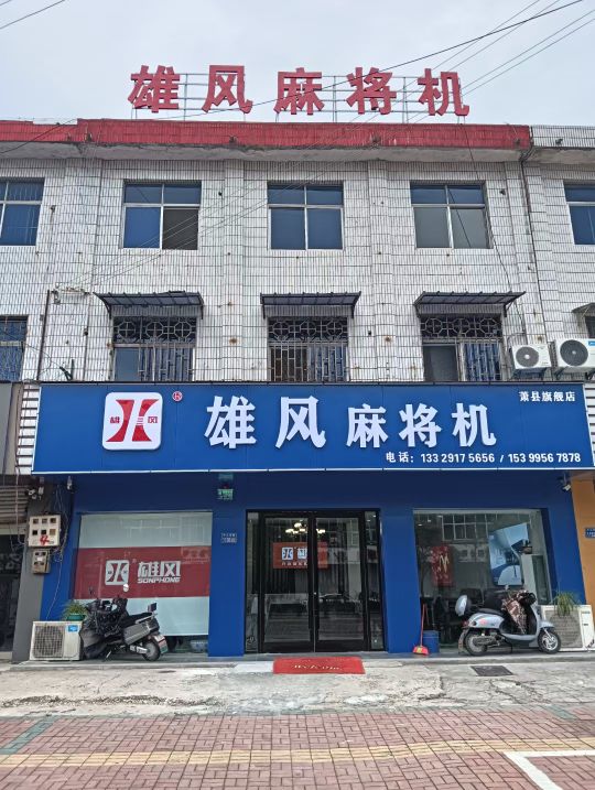 雄风雀友麻将机专卖店店