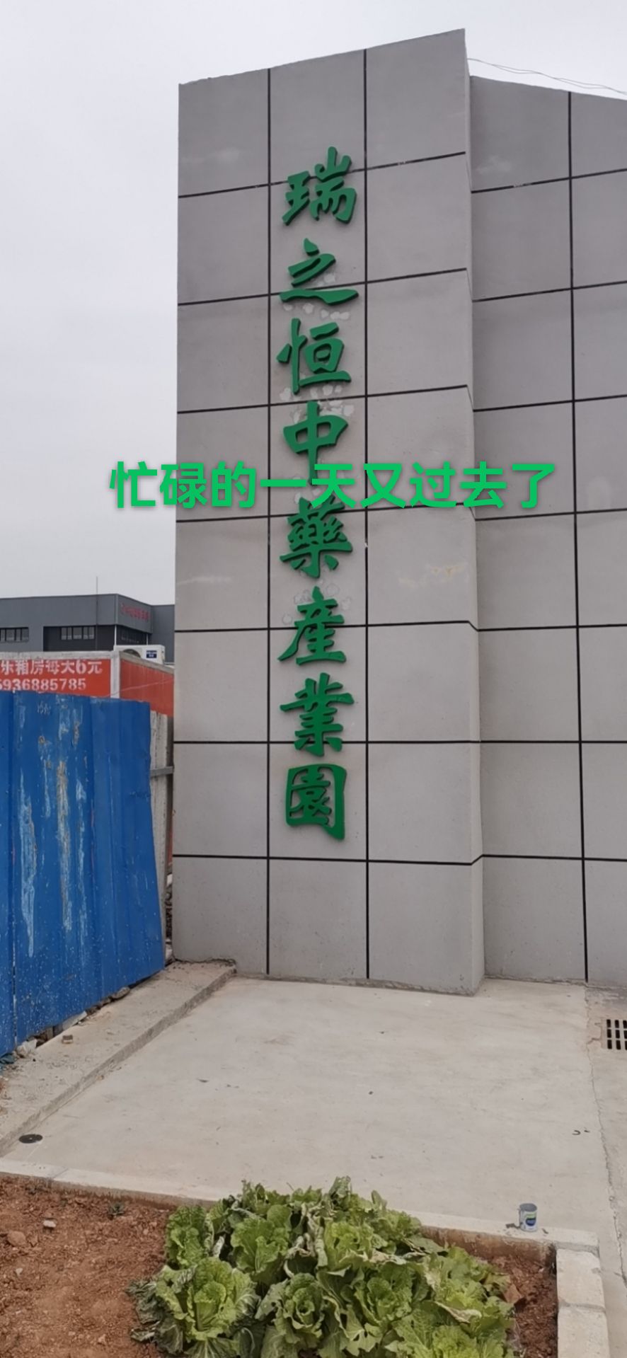 瑞之恒药业