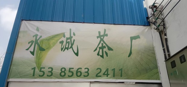 永诚茶园