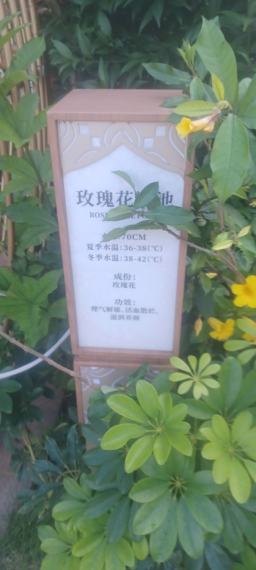 臻温泉水世界
