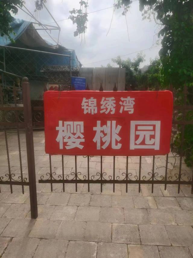 湾绣园桃嗽整锦樱