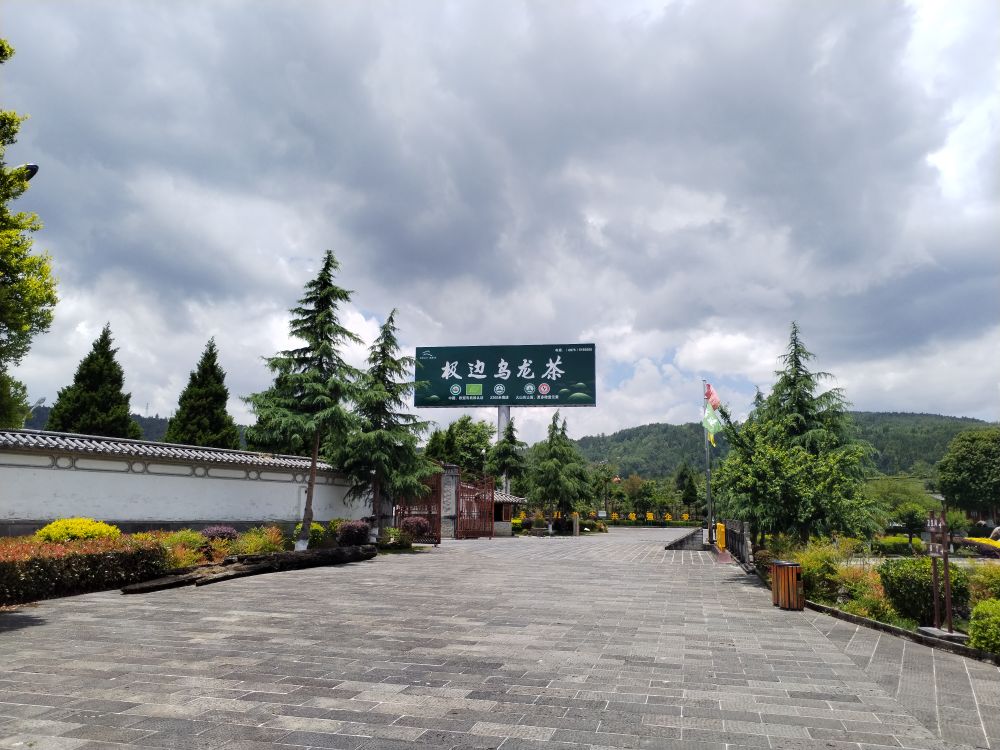 腾冲高山乌龙荼观光园区