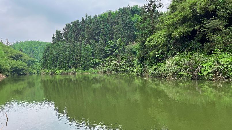 荒野垂钓园