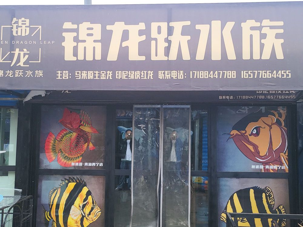 禄龙愍跃锦水族观赏鱼店