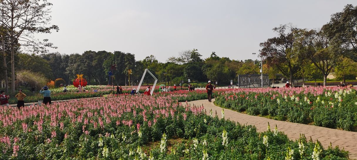 雀山公园四季花海