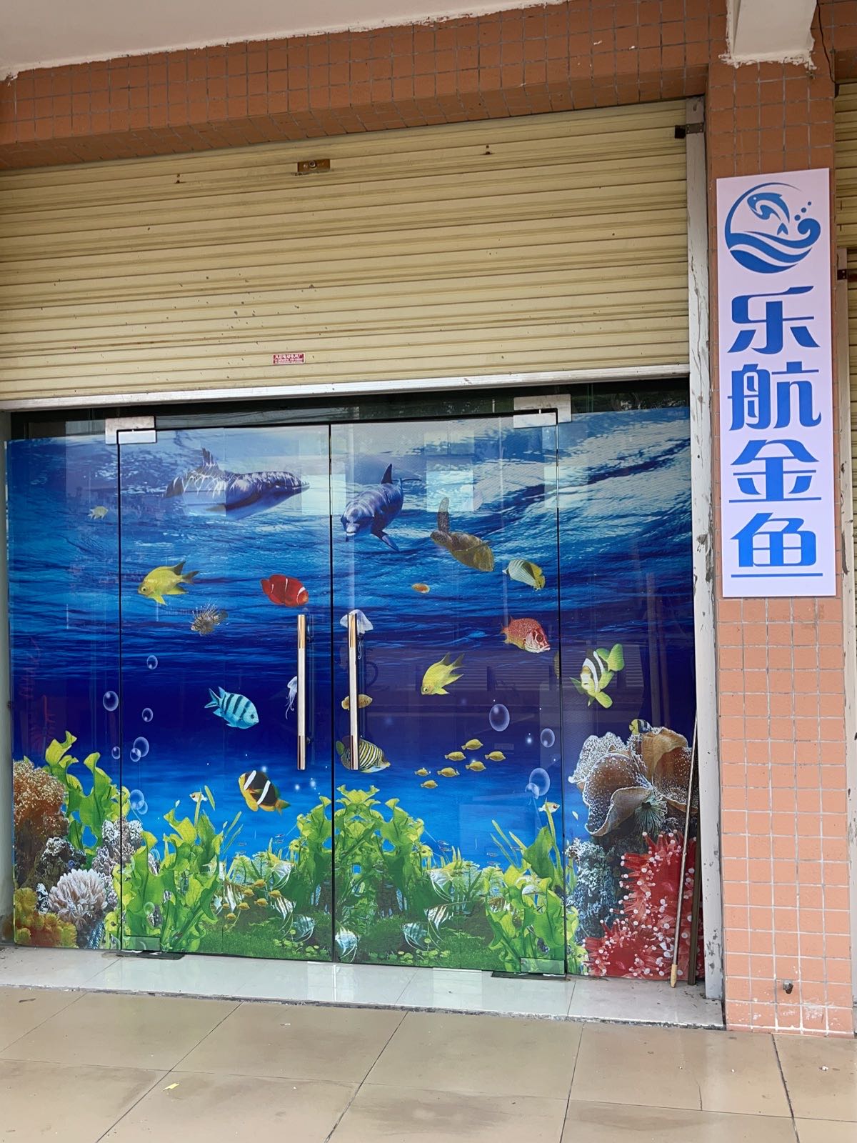 钞蕈乐金鱼航