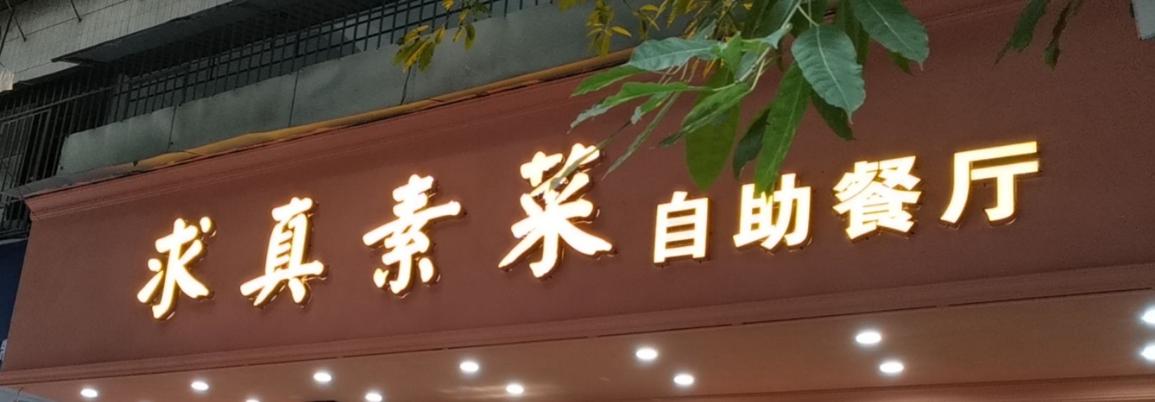 凸曝求真素食餐厅