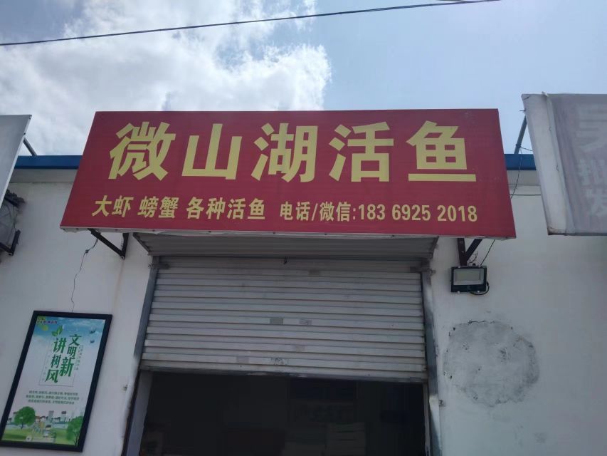 微山湖活鱼