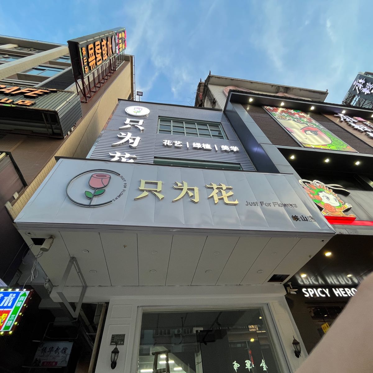 只为花