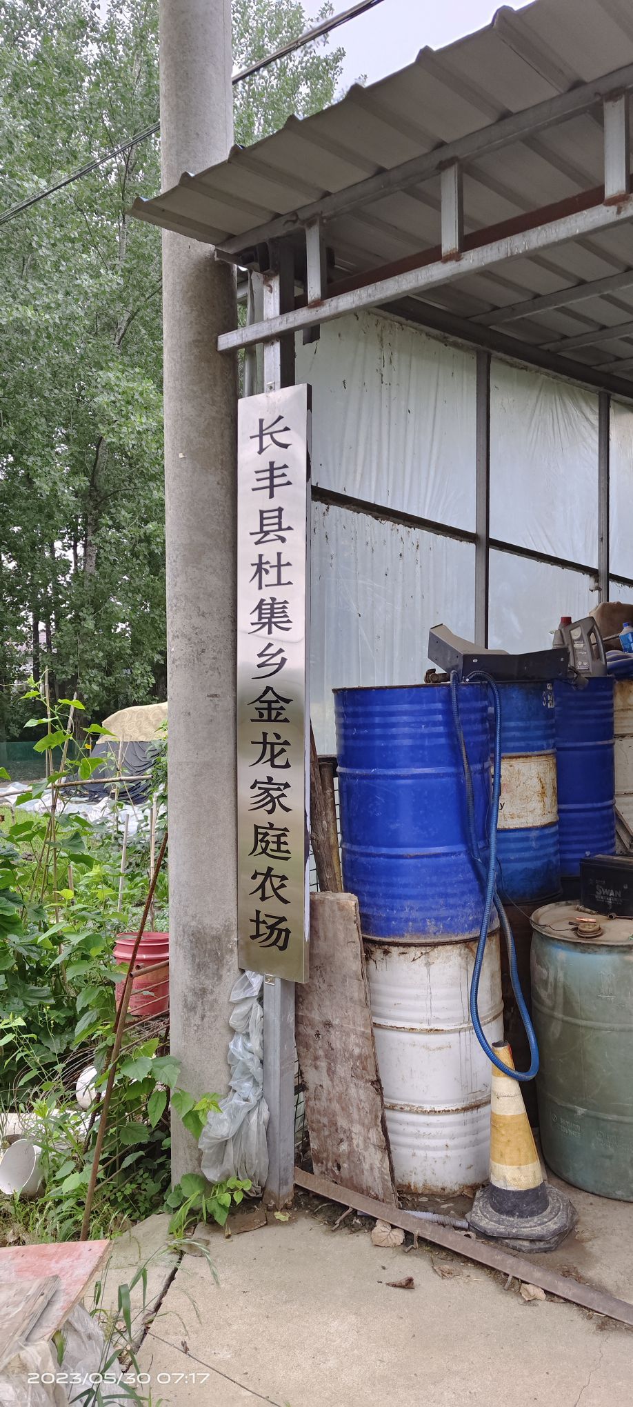 长丰县金龙家庭农场