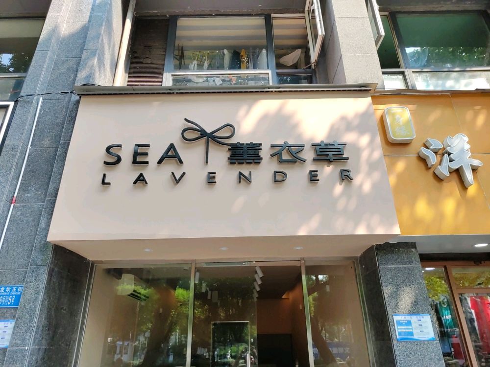 SEA薰衣草