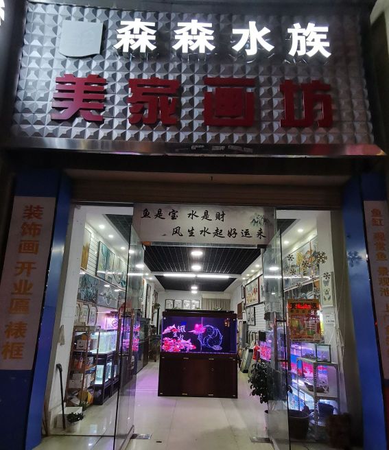 森森四族(万里大道店)
