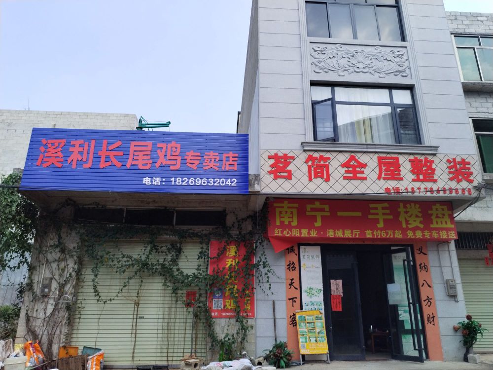 溪利长尾鸡专卖店