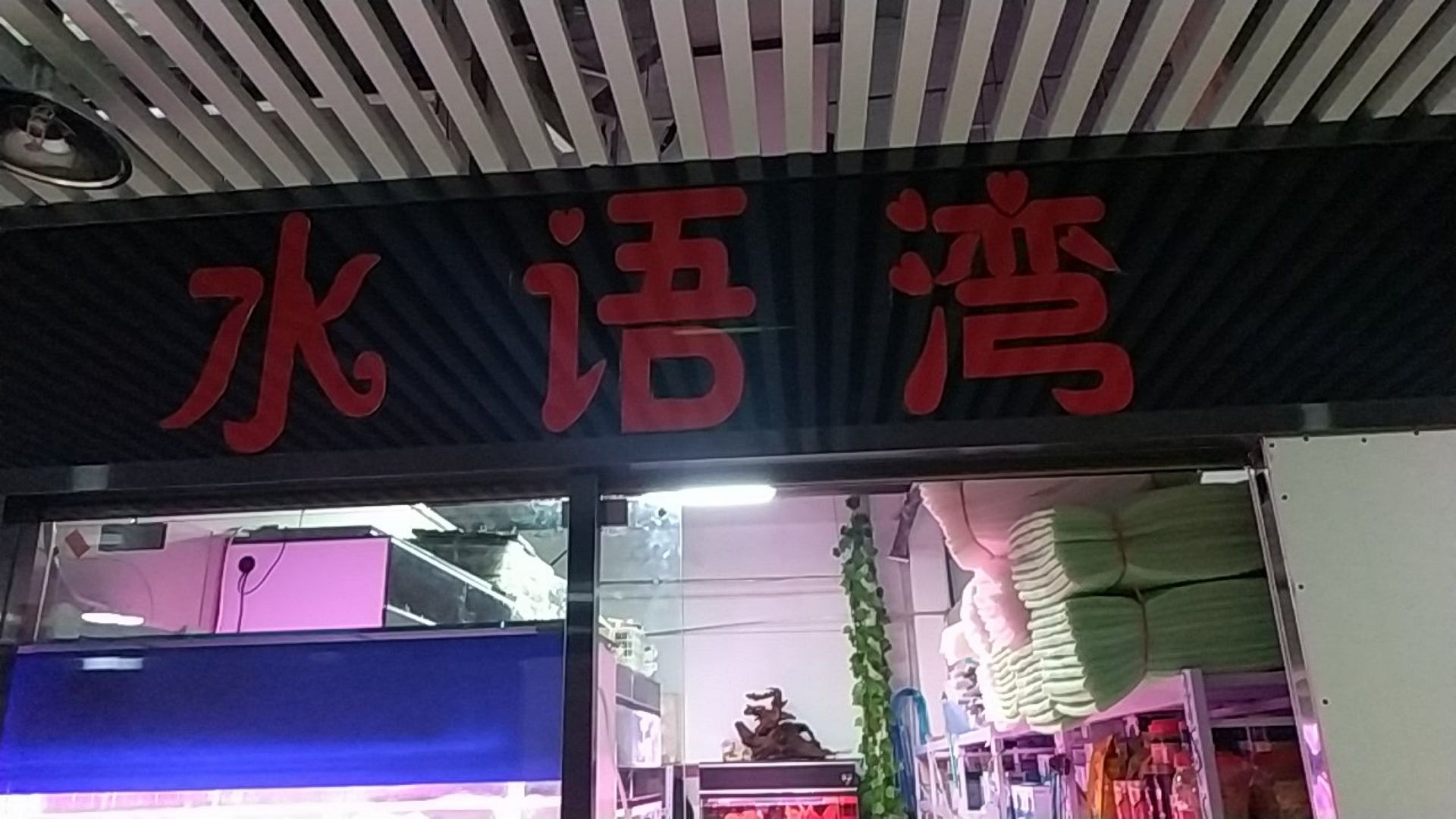 水语湾水族观赏鱼(益智发店)