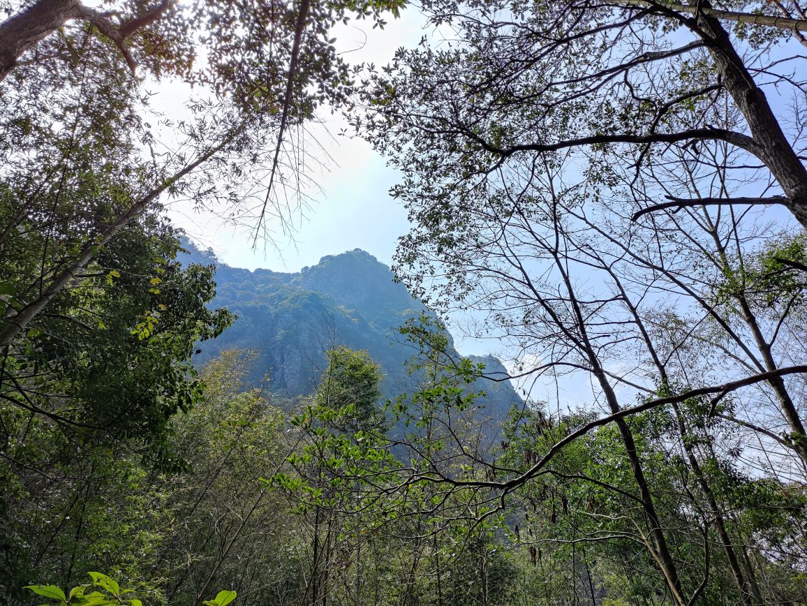 尖峰笔