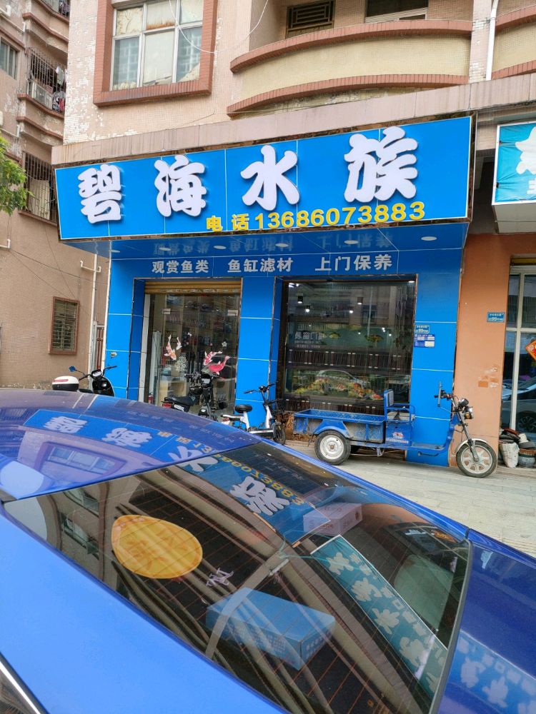 碧海水族(西大路店)