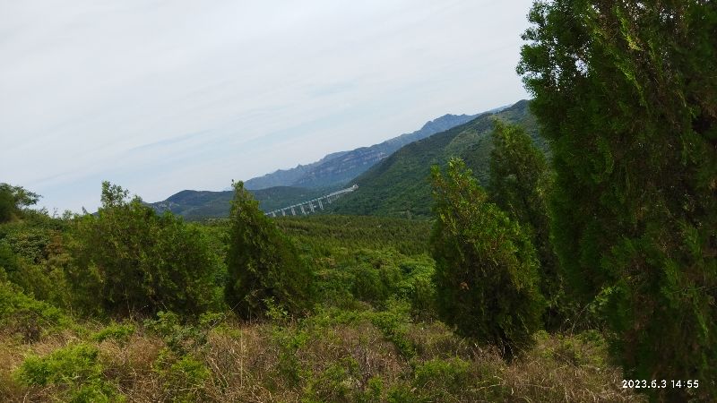 令龙山