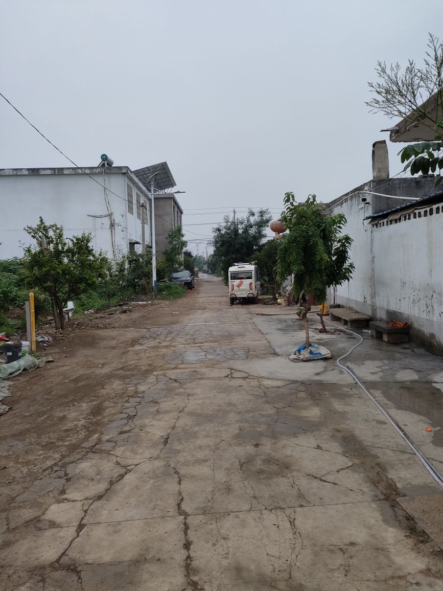 李彪蔬菜水果代办