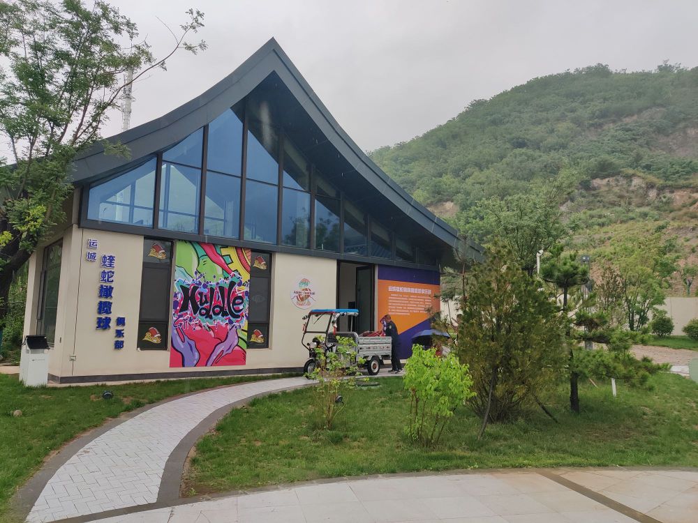 蝰蛇橄榄球俱乐部