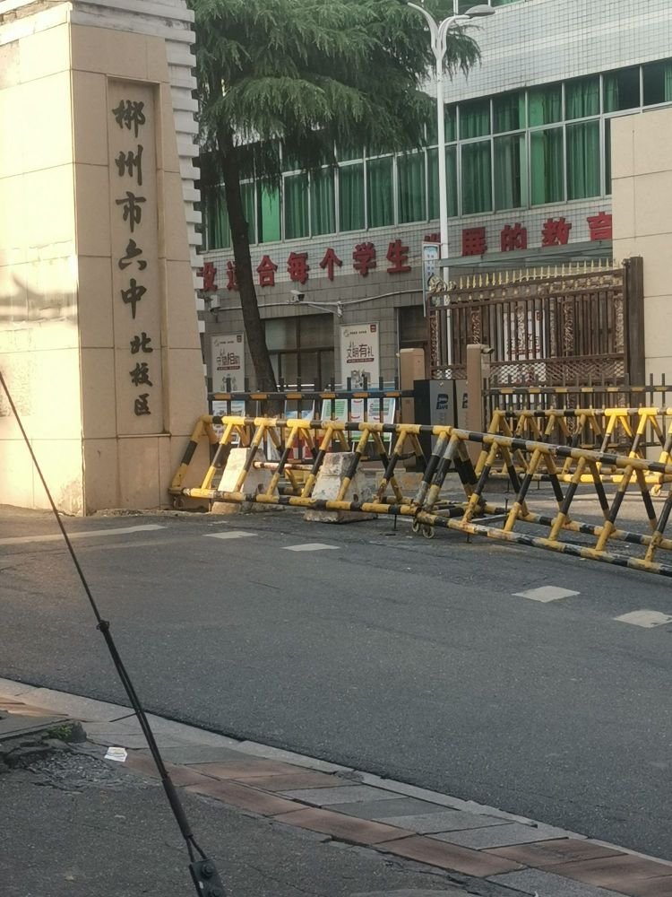 忘不了寿司奶茶