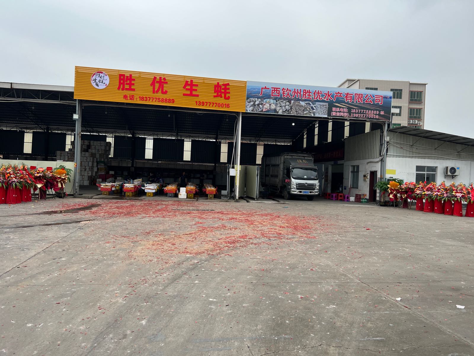 胜优生蚝批发
