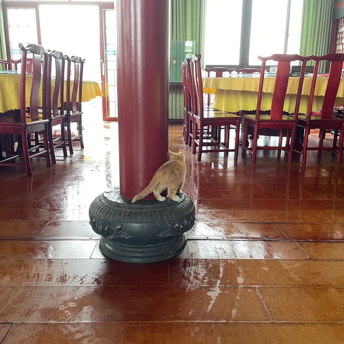 陆家嘴水上人家(山嘴组店)