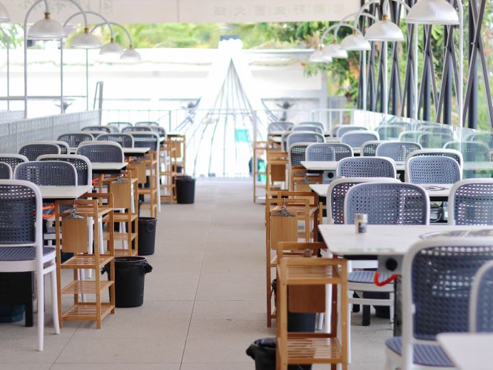 菌海森林野生菌火锅店(西双版纳告庄店)
